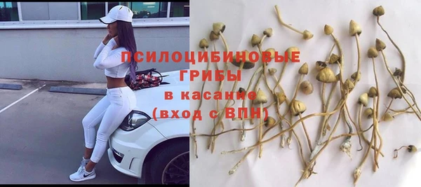 мдпв Вязники