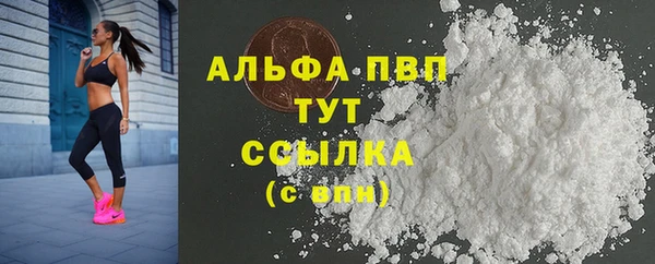 спиды Вязьма