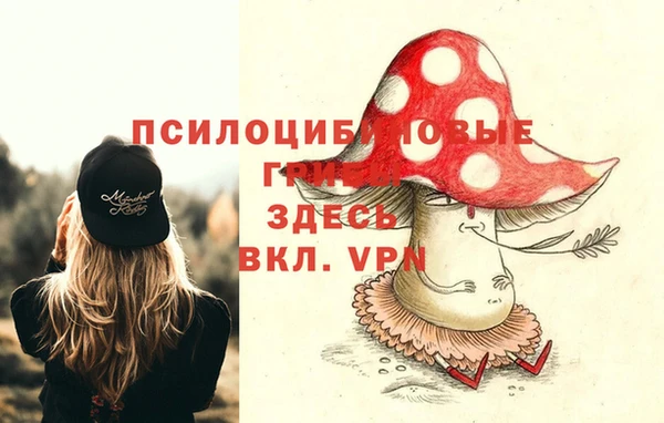 COCAINE Вяземский