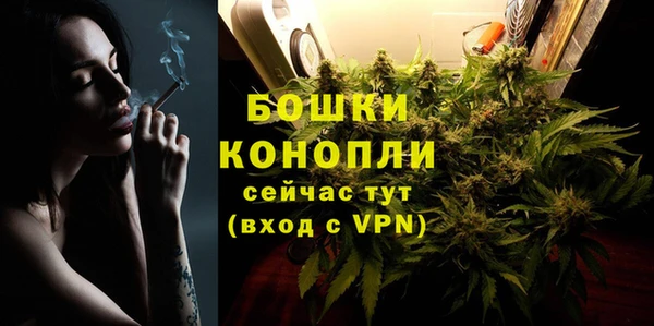 мдпв Вязники