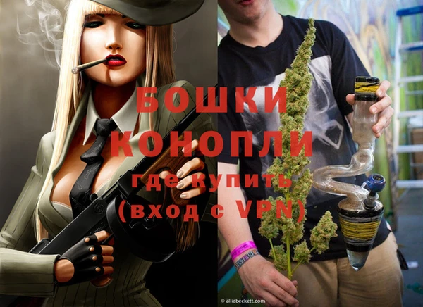дживик Бикин